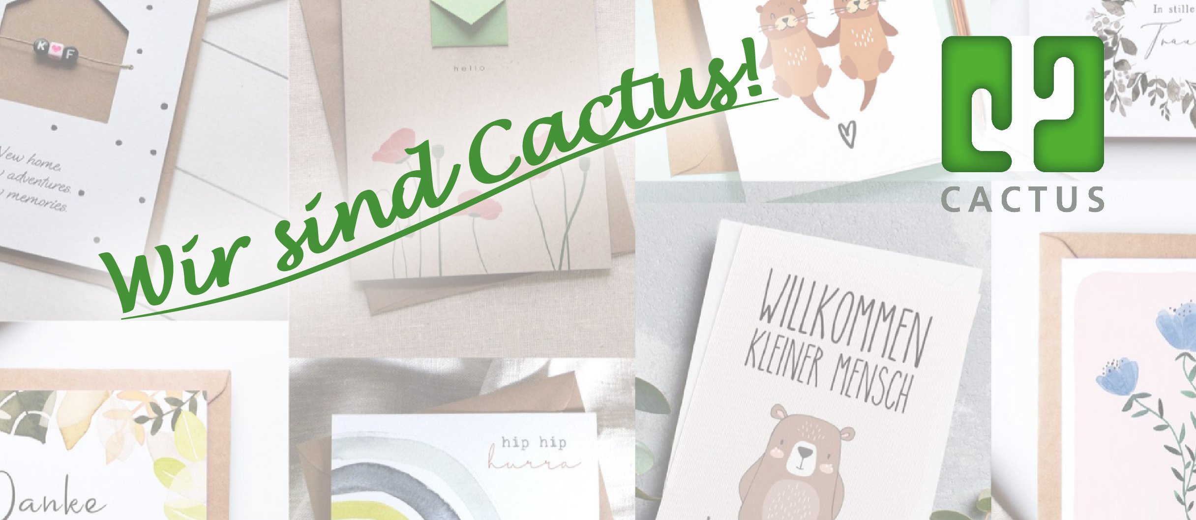 So viel zahlt Cactus 2026: Gehlter im Check